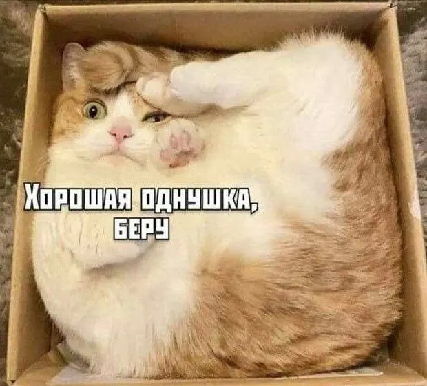 В марте 2026 года средняя ипотечная ставка в Забайкальском крае составила 5,56% — один из минимальных показателей по России; ниже 6% — в семи регионах, преимущественно на Дальнем Востоке.