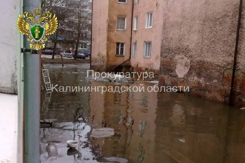 Калининградцы, расселённые из дома №47–49 по предписанию прокуратуры, 19 июня получили ключи от квартир на Борисовском бульваре. Следователи возбудили уголовное дело после осмотра подвала и фундамента дома.
