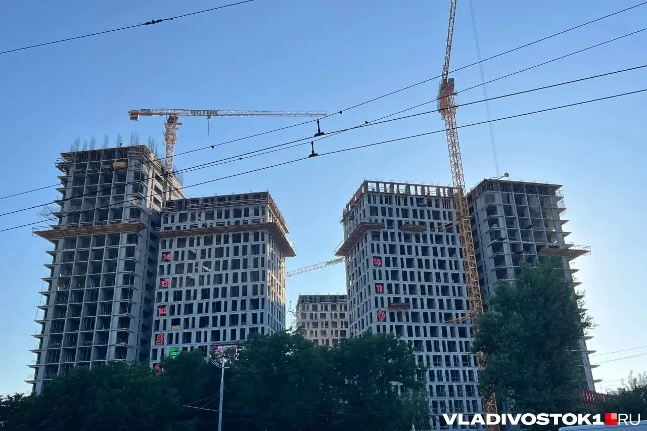 По итогам общественных обсуждений проект планировки сопки Орлиной (Некрасовский переулок и ул. Суханова) был отвергнут: против высказались 321 из 322 участников. Предполагалось застроить 14,8 га жилыми домами, гостиницей и офисами.