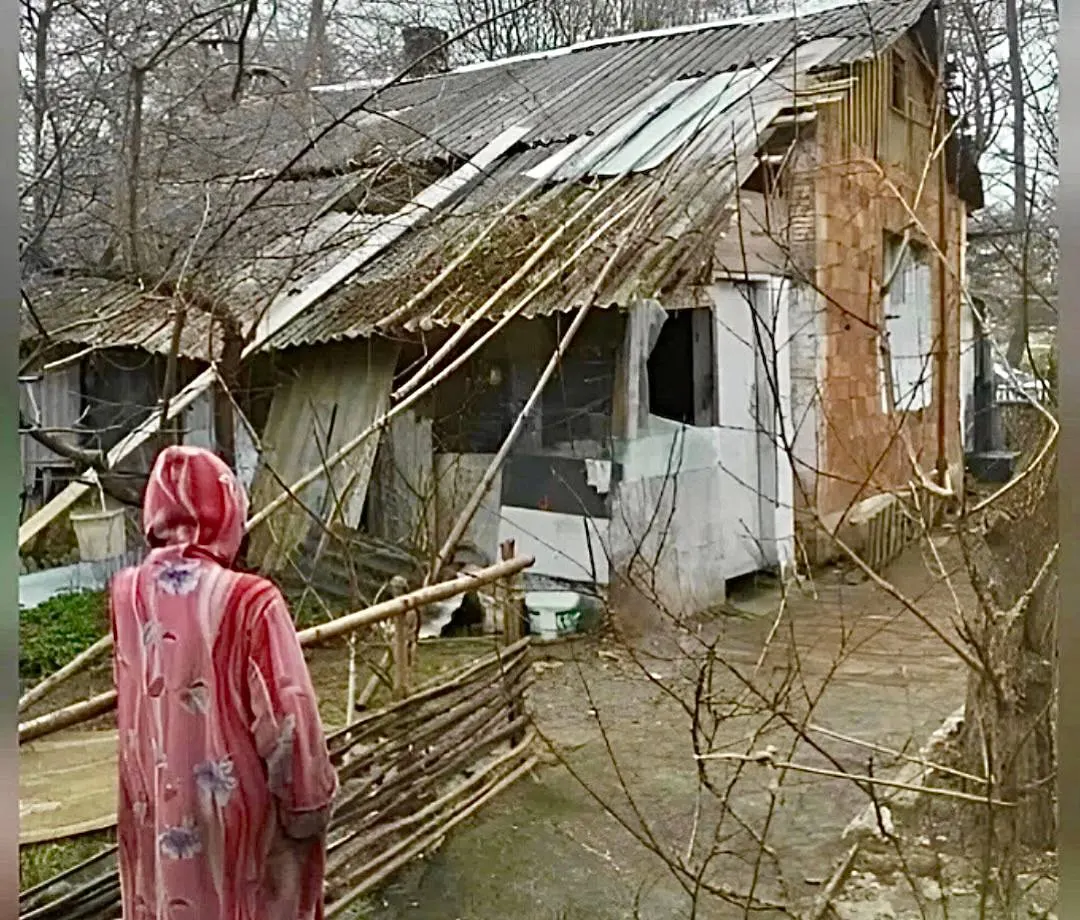 Жильё пенсионерки было списано в 2012 году, после шторма часть крыши сорвана. Женщина отапливает дом дровами, раз в неделю проходит 5 км к парому, отказывается переезжать в дом престарелых — соседи готовят жалобы в прокуратуру.