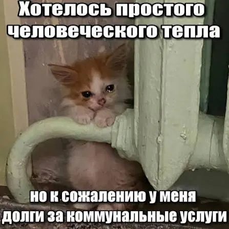 Суд подтвердил, что срок исковой давности в три года препятствует включению давних долгов за капитальный ремонт в платёжные документы и защищает должников от принудительного взыскания.